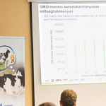 Szarvasmarha Road Show 2017