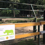 Nyíregyházi Vadaspark