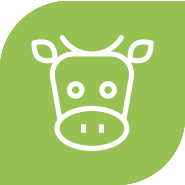 Állattenyésztés ikon