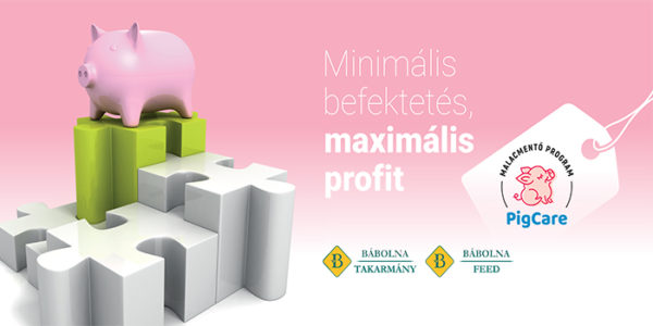 PigCare Malacmentő Program