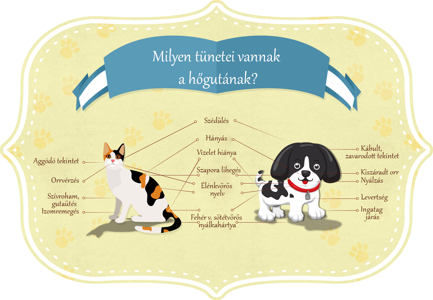 Pet food hőguta tünetei