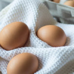 Tojás Világnapi Konferencia