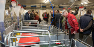 Bonafarm Mezőgazdaság Mocsai sertéstelep