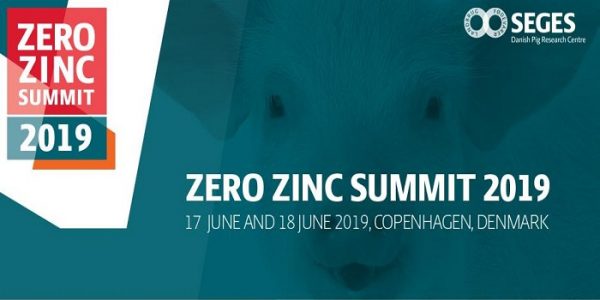 Zero Zinc Summit