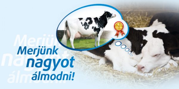 Cremo borjútakarmány