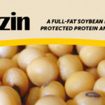 Soyzin soybean