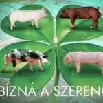 Génspecifikus takarmány