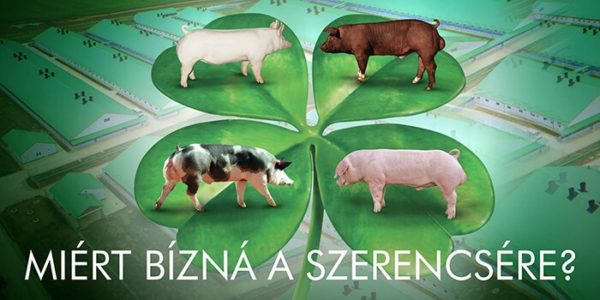 Génspecifikus takarmány
