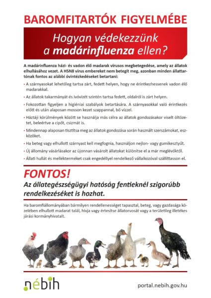 Nebih madárinfluenza védekezés
