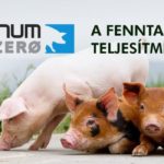 Platinum Zero cink-oxid mentes