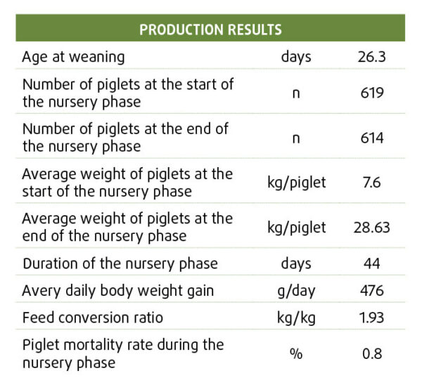 Piglet table Somberek
