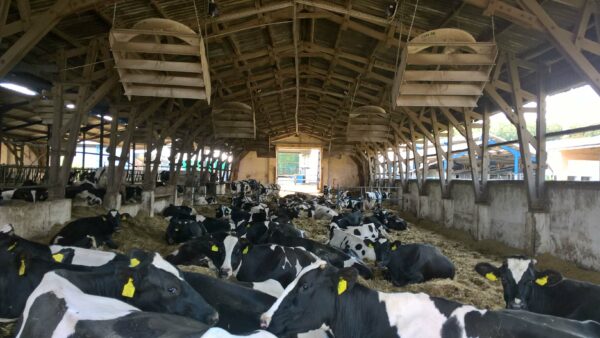 Rábapordány ventilátor