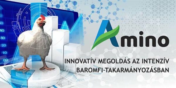 Amino baromfitakarmány