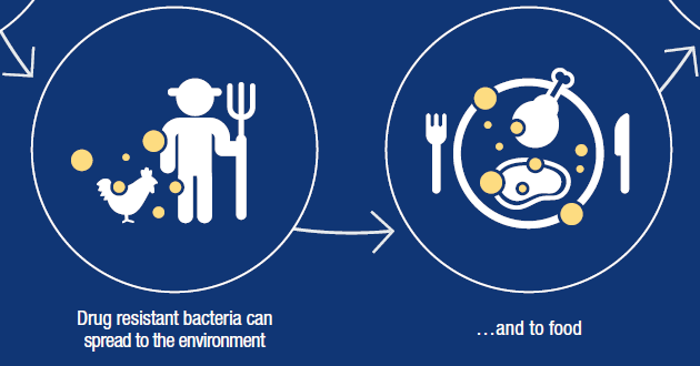 Antimikrobiális rezisztencia