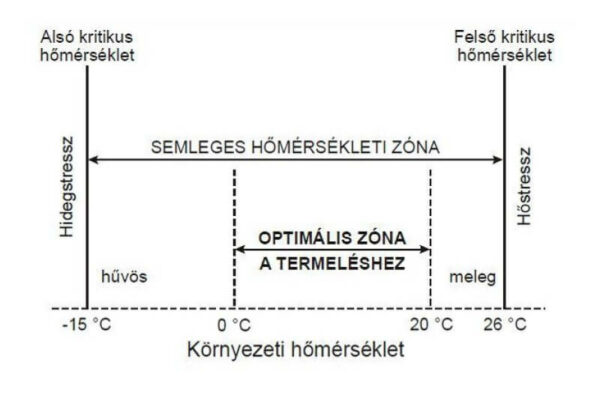 Hőstressz szarvasmarha ábra