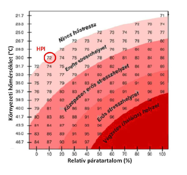 Hőstressz szarvasmarha ábra