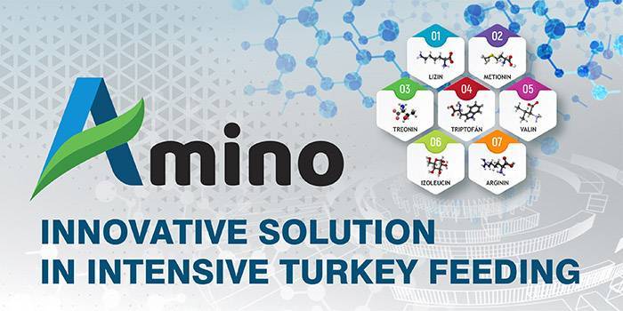 Amino turkey