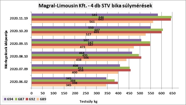 Magral Limousin tömeggyarapodás