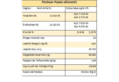 Peidl Attila értékelés