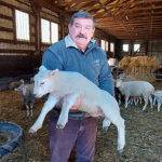 Kiss Gyula juhtenyésztő