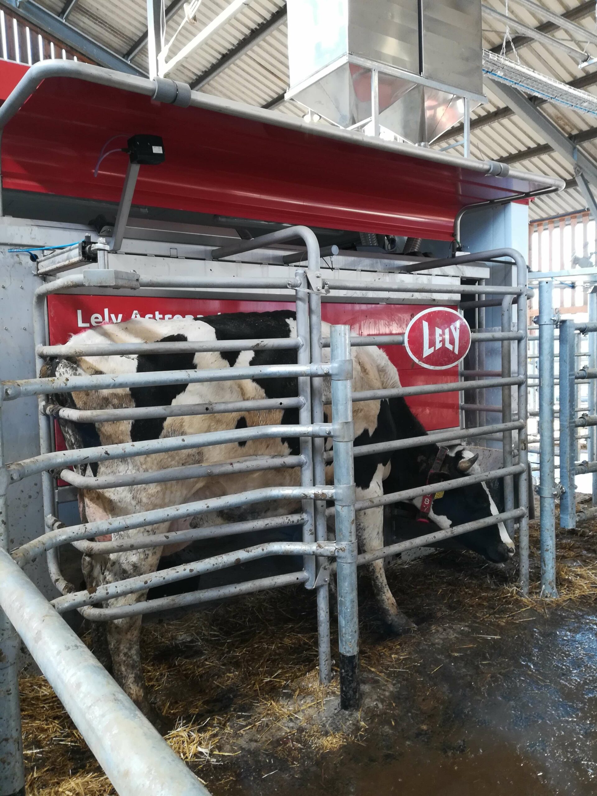 Kisalföld Mg istálló