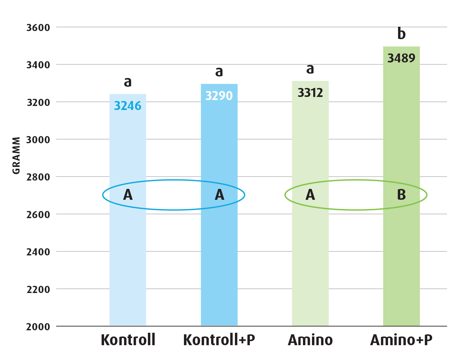 Amino kísérlet testsúly
