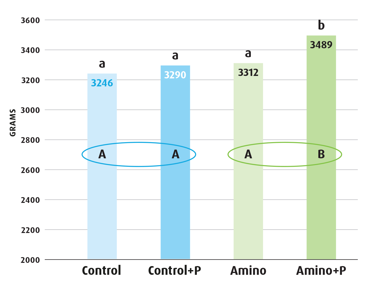 Amino body weight