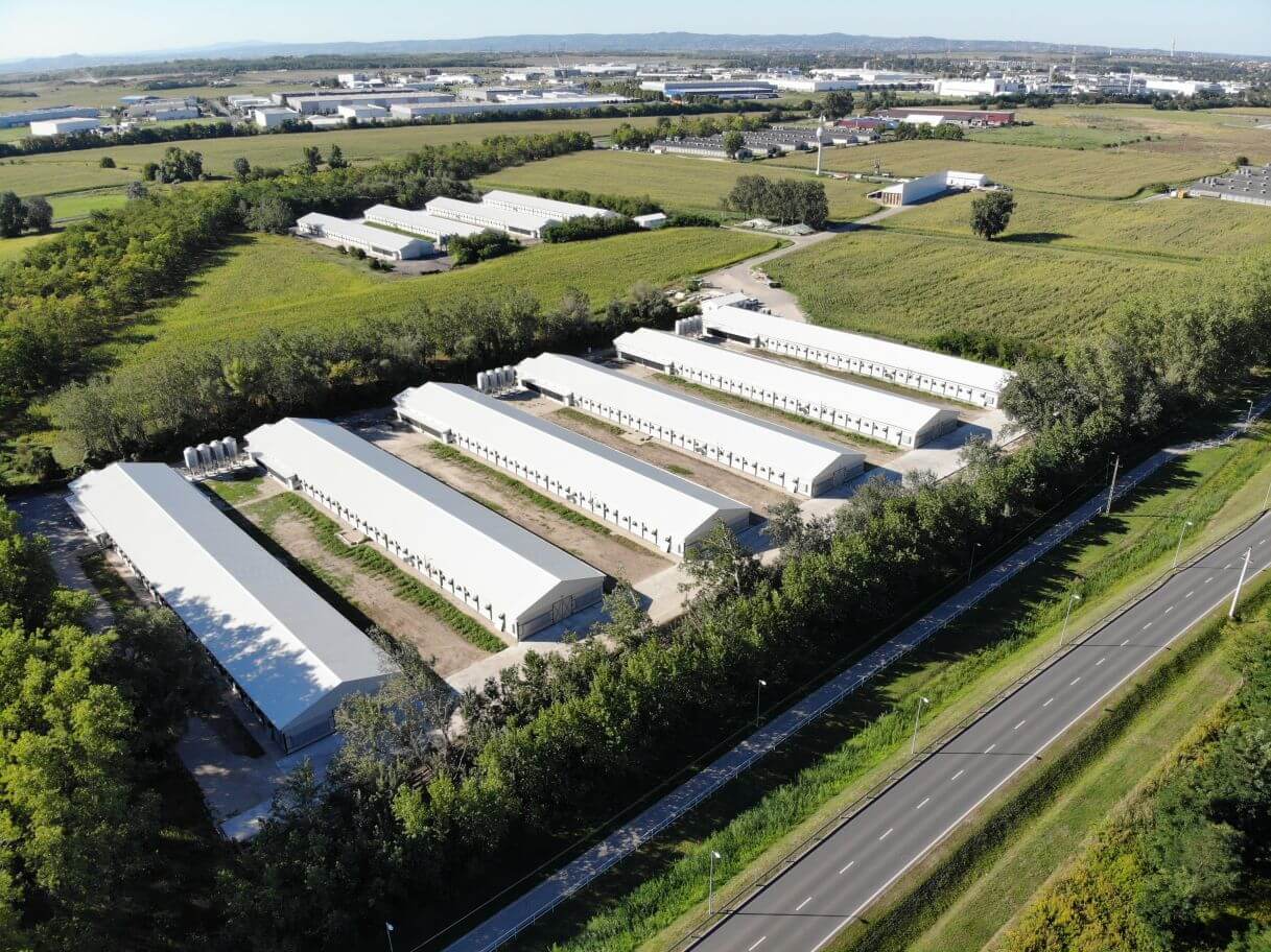 Birdcage telep brojler