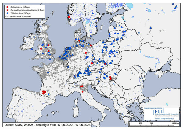 Madárinfluenza Friedrich-Loeffler-Institut