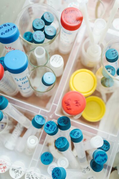 Madárinfluenza vakcina