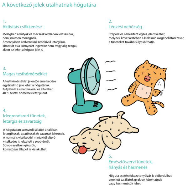 Kutya macska hőstressz