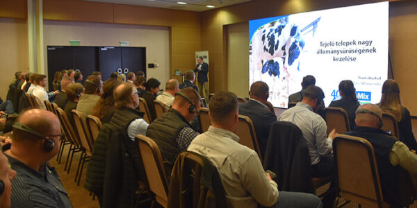 Szarvasmarha Road Show