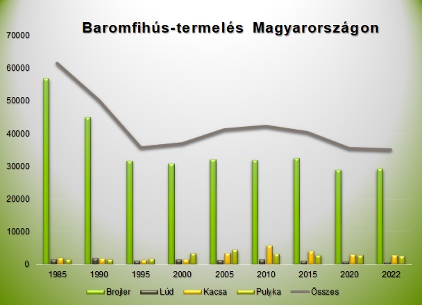 Baromfihús-termelés