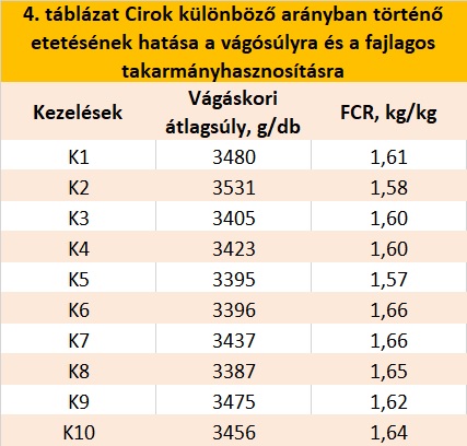 Pecsenyekacsa kísérlet