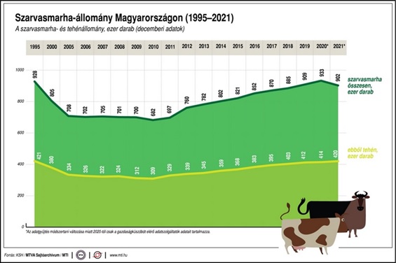Szarvasmarha-állomány