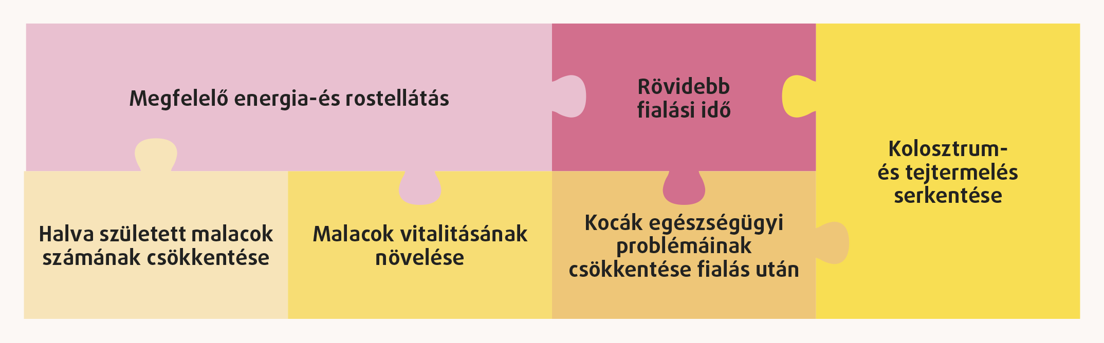 Sertés tranzíciós