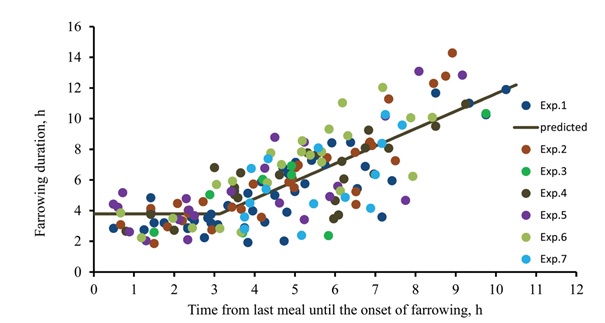 Sertés tranzíciós