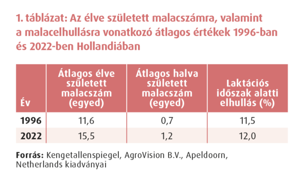 Sertés tranzíciós