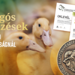 Pecsenyekacsa termékdíj