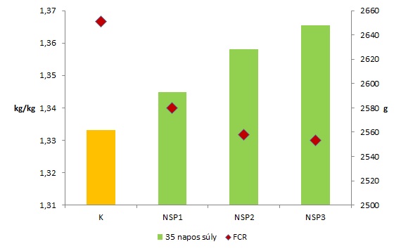 Brojlercsirke 1. ábra