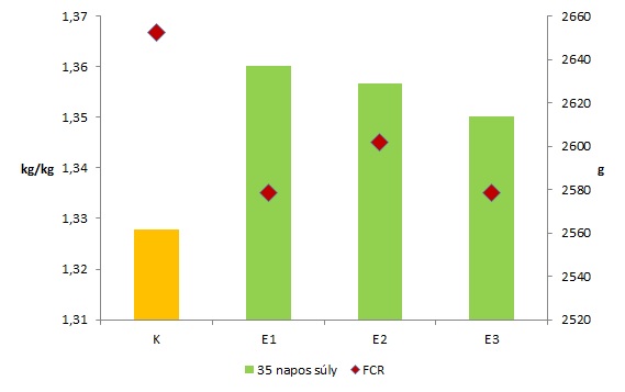 Brojlercsirke 2. ábra