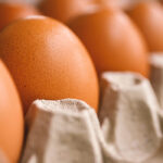 Tojás Világnap 2024