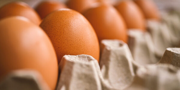 Tojás Világnap 2024