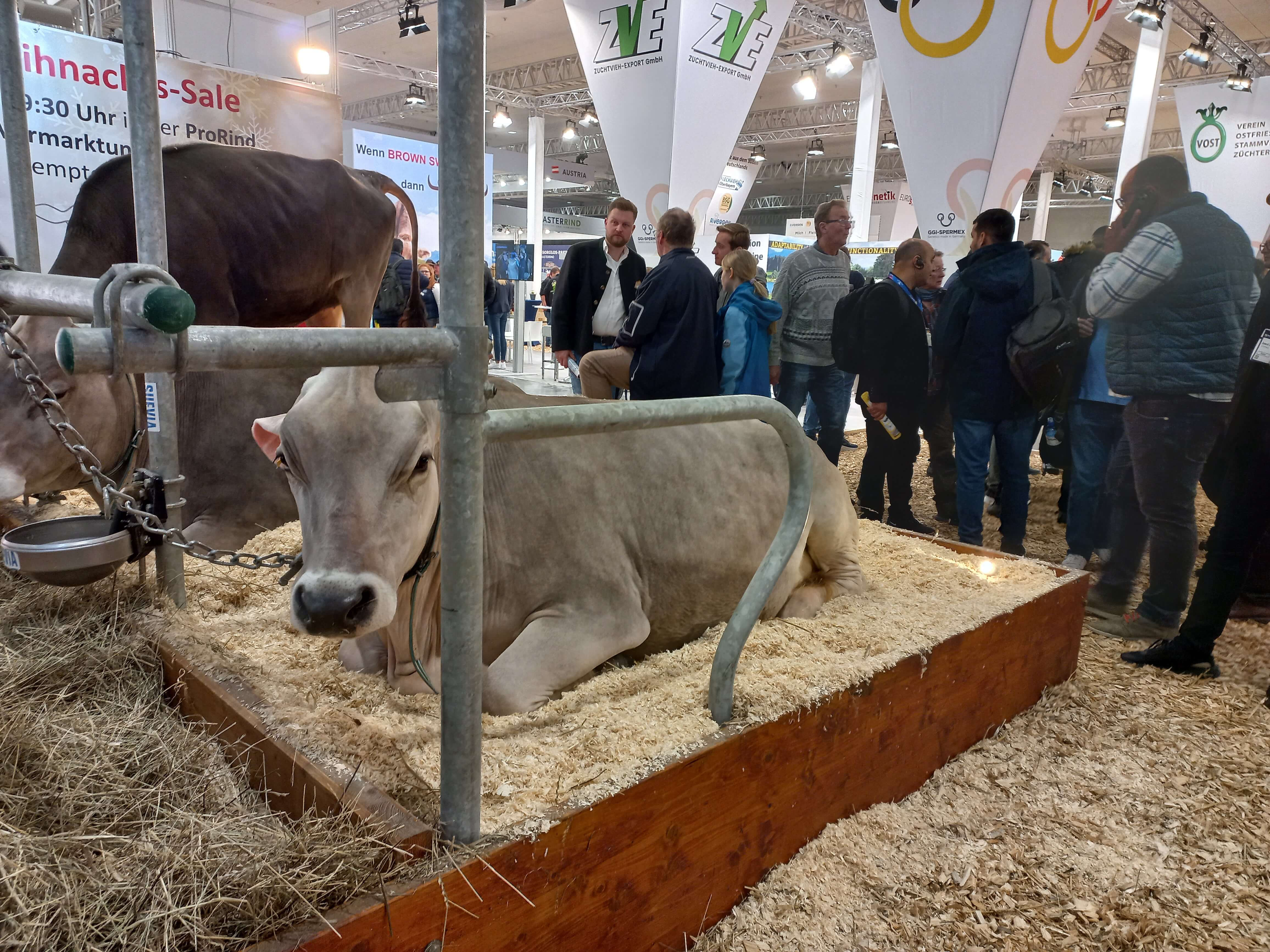 EuroTier technológia