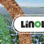 Linolex fehérjeforrás