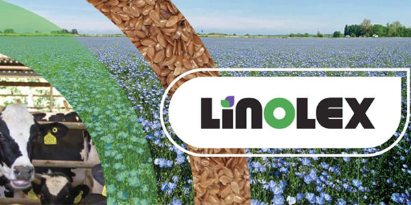 Linolex fehérjeforrás