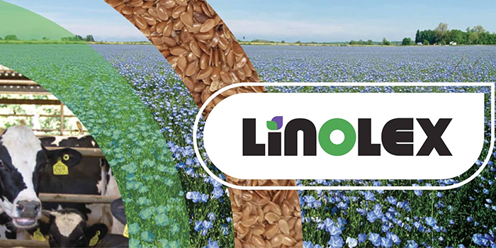 Linolex fehérjeforrás