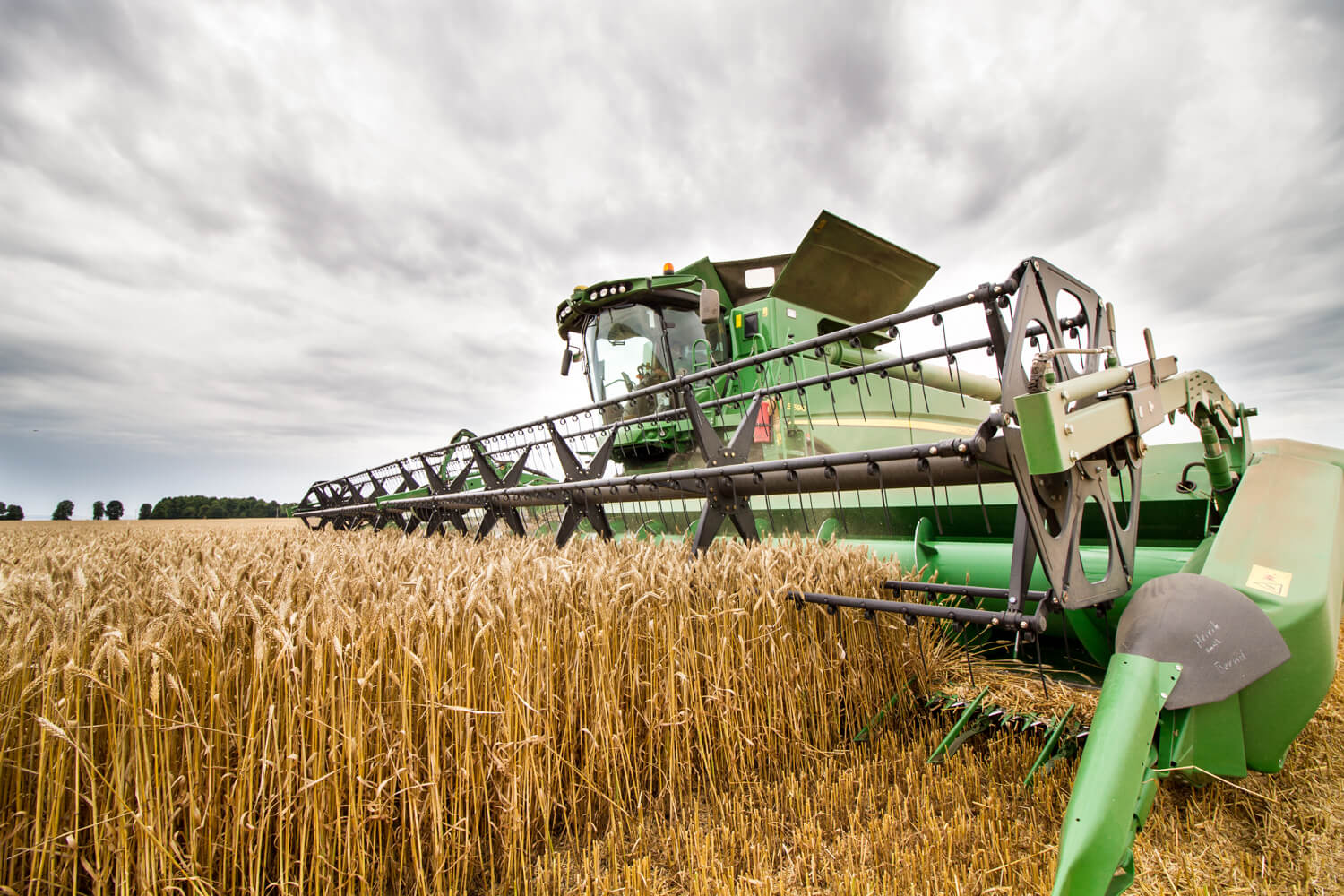 Terményár-búzatermelés