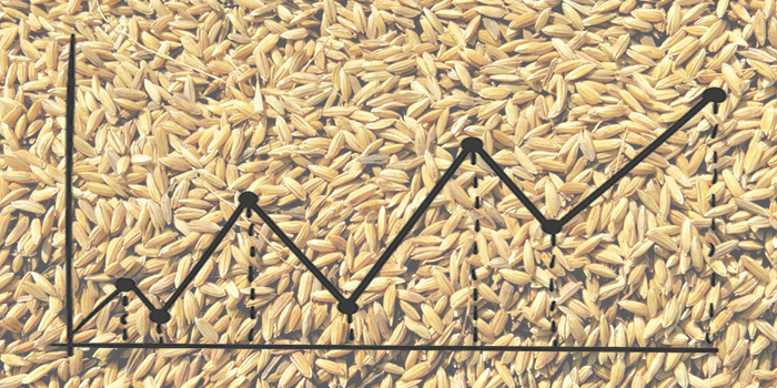 Terményár-gabonapiac