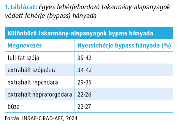 Szarvasmarha bendőfisztulás